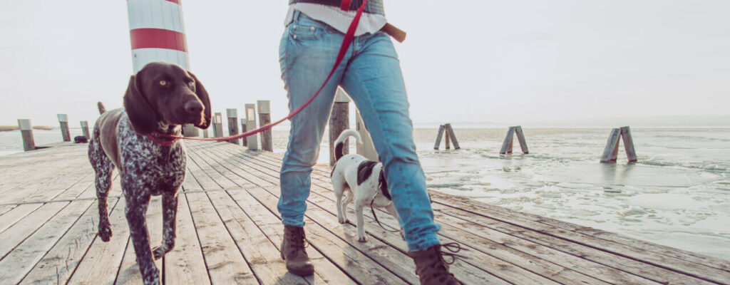 5 Tips To Get More Physical Activity